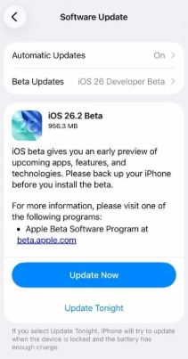 iOS 26.2 beta